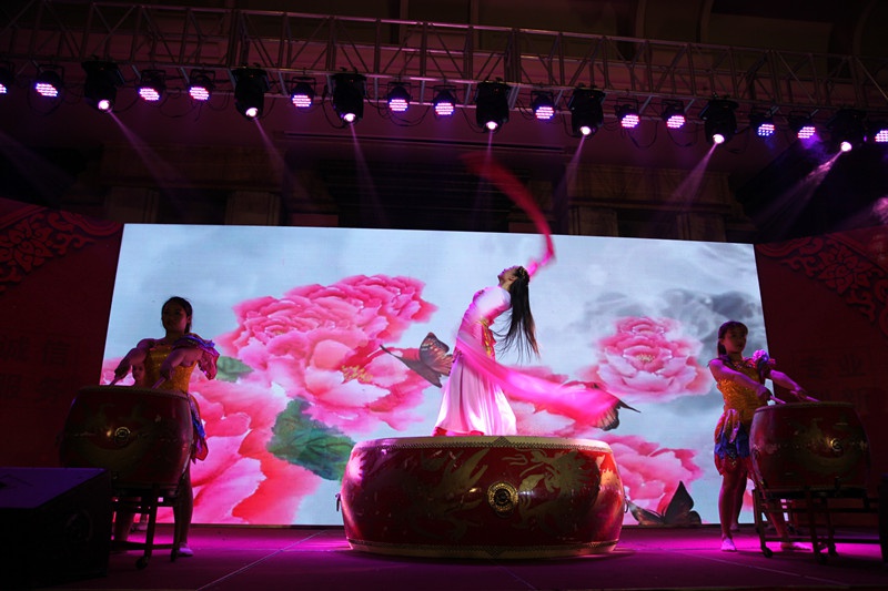 BBV(中国)集团2016年会